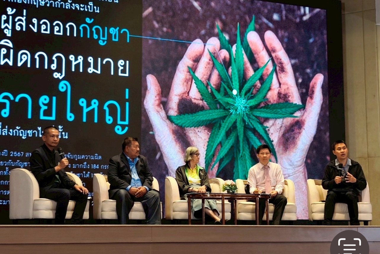 3 ปี กัญชาเสรี กระทบ สุขภาพ-เศรษฐกิจ-สังคม