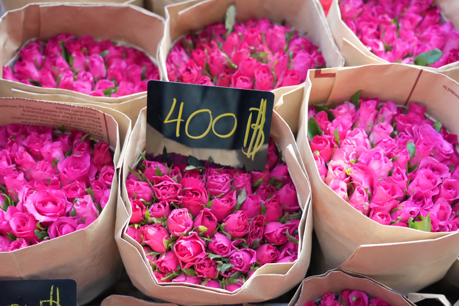 “กุหลาบ” วาเลนไทน์ ช่อละ 400-1,500 บาท