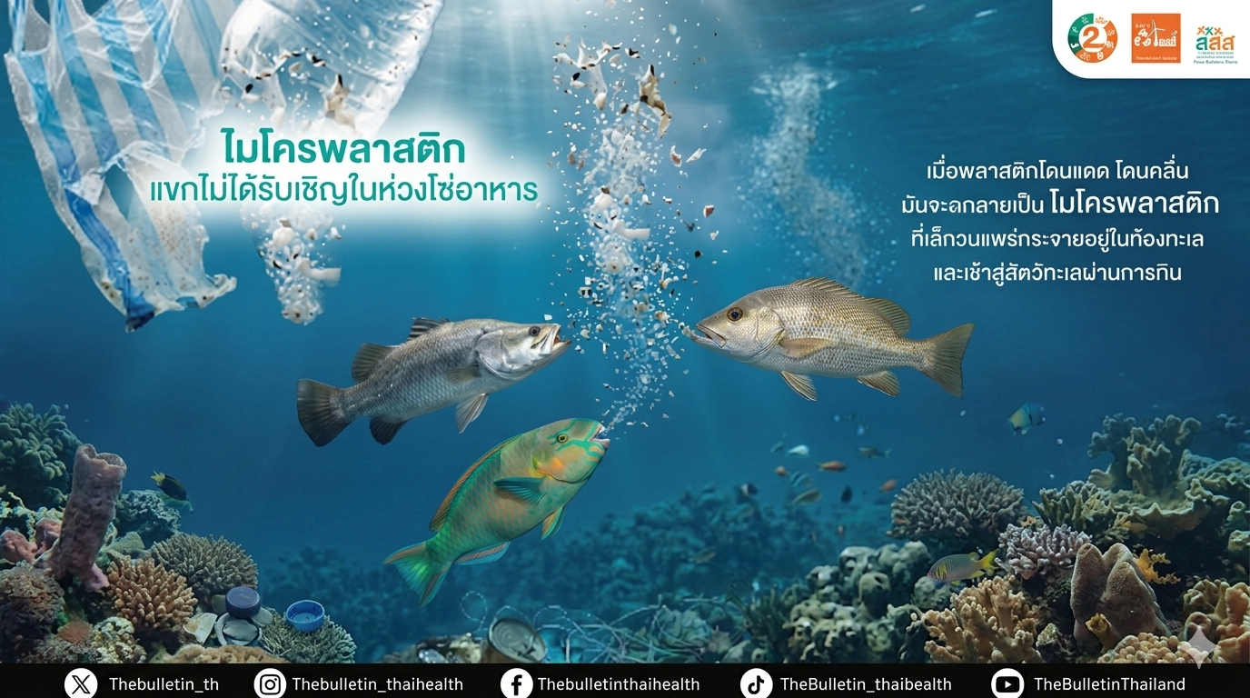ไมโครพลาสติกในร่างกายคนไทย จากน้ำดื่มบรรจุขวดและอาหารทะเล