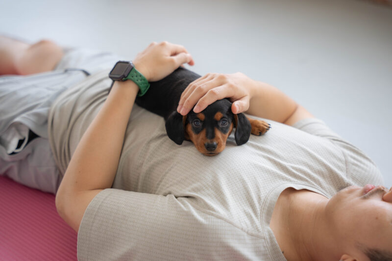 เมืองไทยประกันชีวิตจัดกิจกรรม Puppy Yoga BKK ดูแลสุขภาพกายและใจ