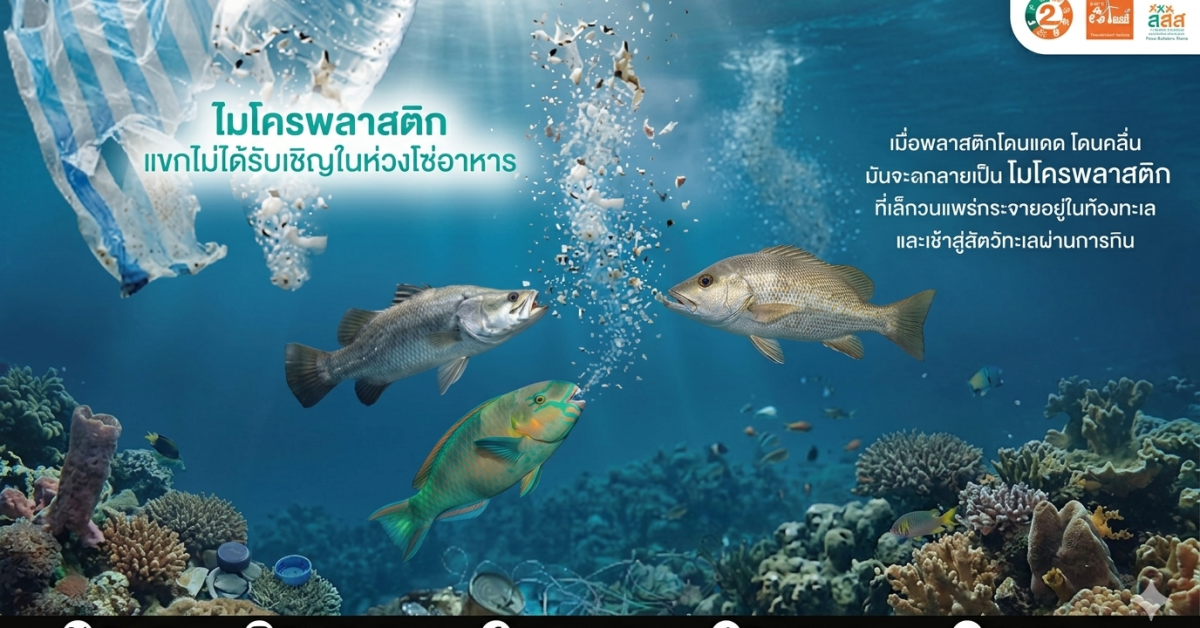 ไมโครพลาสติกในร่างกายคนไทย จากน้ำดื่มบรรจุขวดและอาหารทะเล