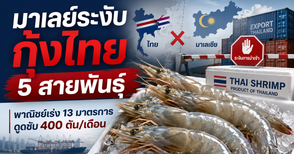 กุ้งไทย 5 สายพันธุ์ถูกมาเลย์ระงับนำเข้า