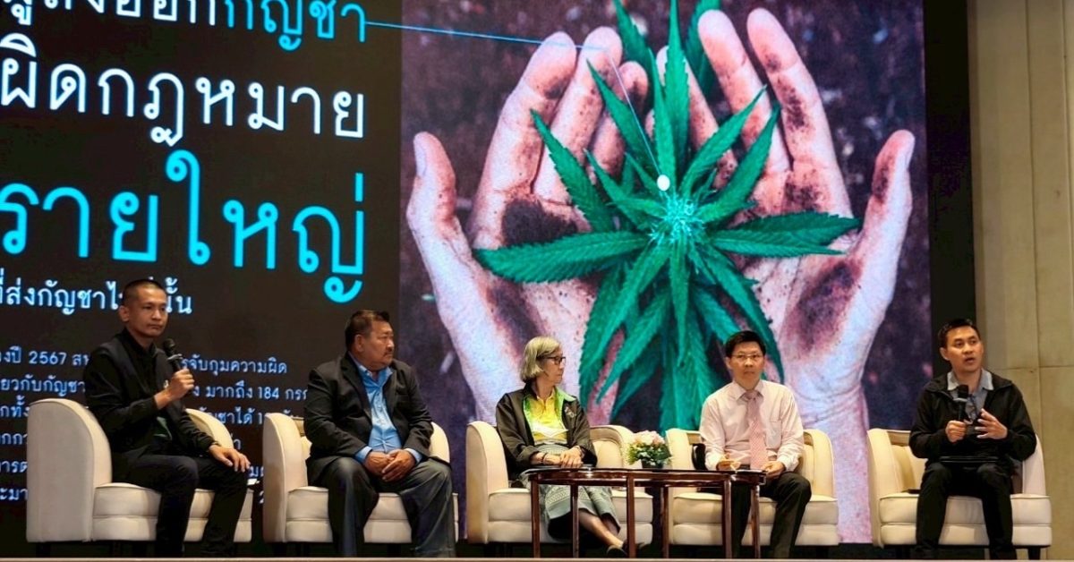 3 ปี กัญชาเสรี กระทบ สุขภาพ-เศรษฐกิจ-สังคม